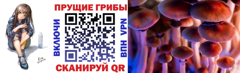 Галлюциногенные грибы Magic Shrooms Хасавюрт