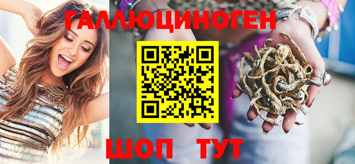 Хасавюрт  Галлюциногенные грибы Psilocybine cubensis  Вход с VPN 