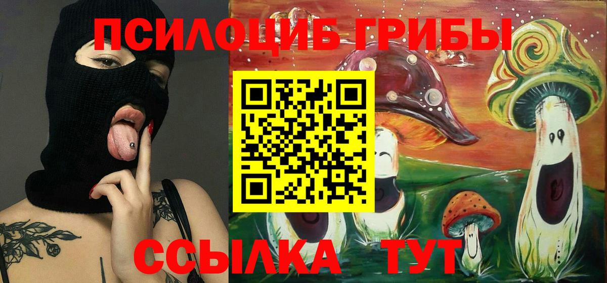 Галлюциногенные грибы мицелий Хасавюрт