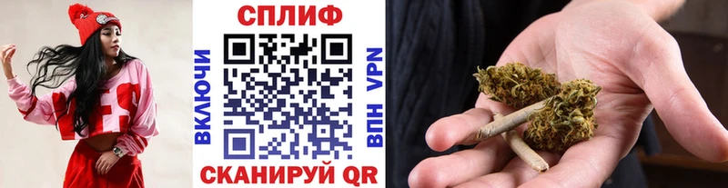 где можно купить   Хасавюрт  Канабис тримм 
